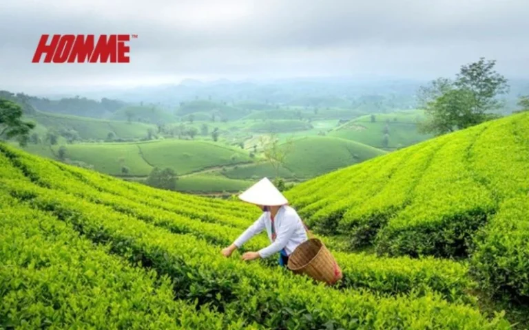 cha munhwa bangnamhoe