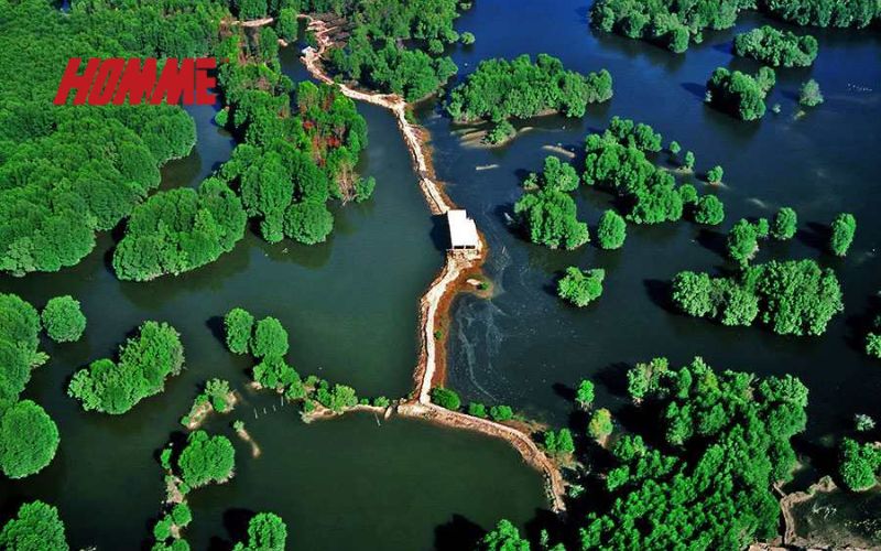 칸지오 맹그로브 숲